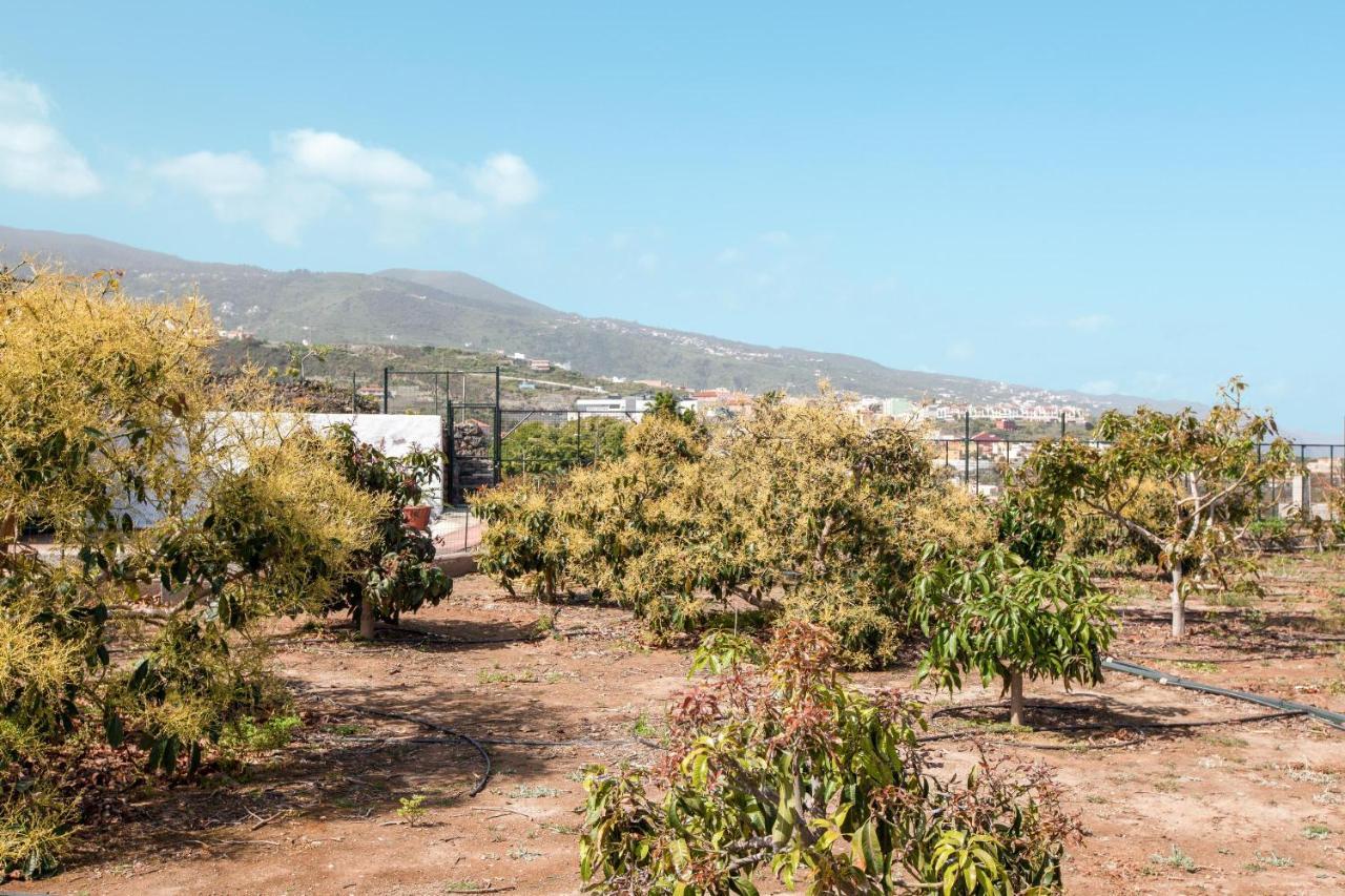 Casa Quemahierro 2 Villa Icod De Los Vinos Eksteriør billede